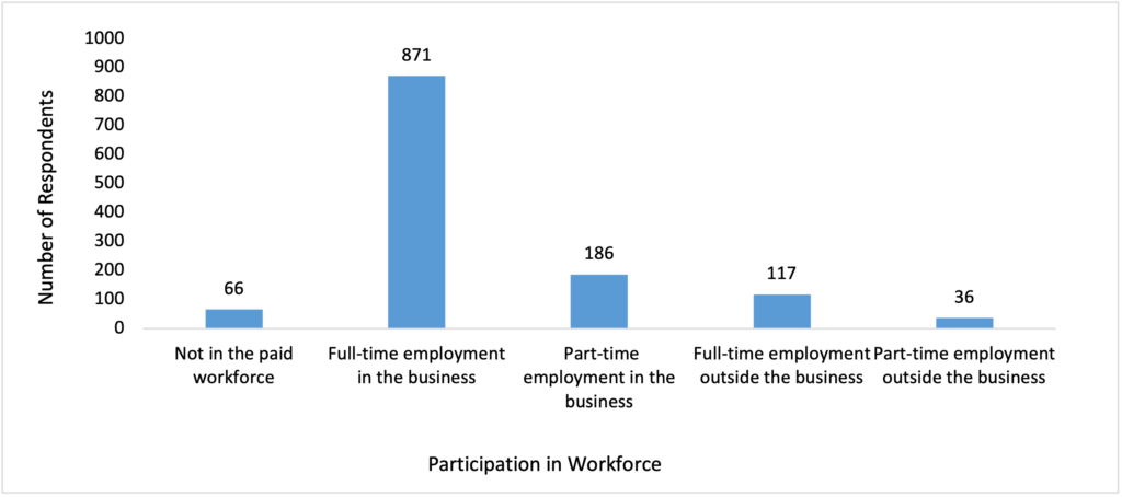 Figure 13. Participation in the paid workforce. (N=1,287)