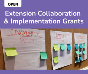 Extension Collaboration & Implementation Grant RFP banner. Image of notes from a community meeting.
