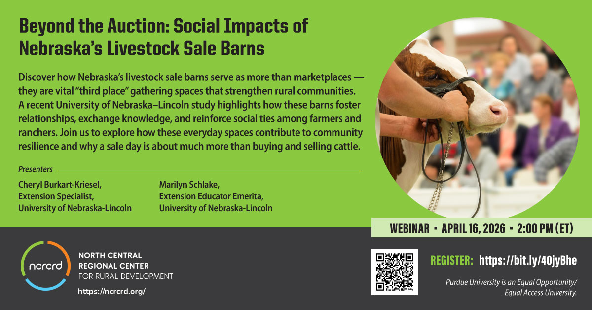 Text: Beyond the Auction: Social Impacts of Nebraska's Livestock Sale Barns. with an image of a cow in a livestock auction ring with an audience sitting in bleachers in the background